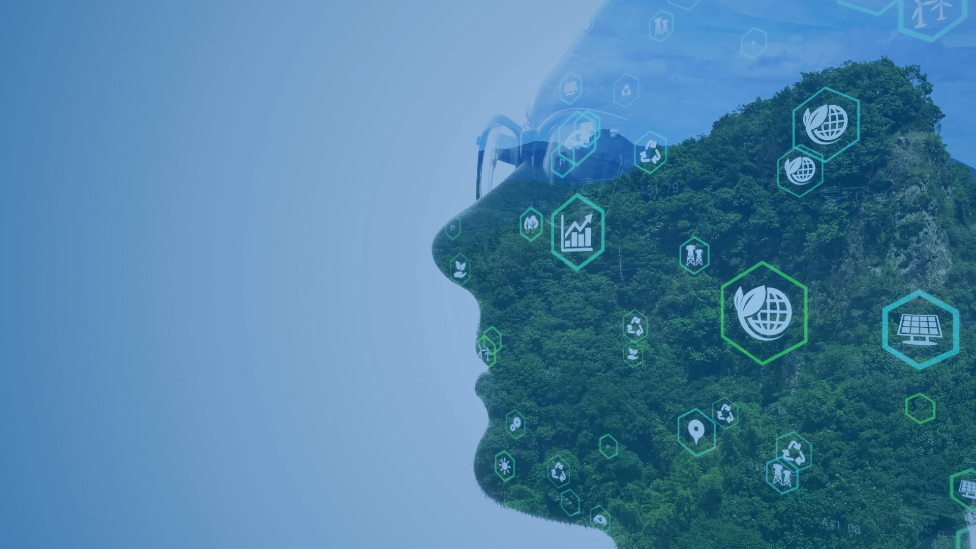 Nachhaltigkeitsbericht 2024