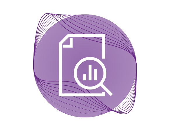 Icon Dokument mit Lupe