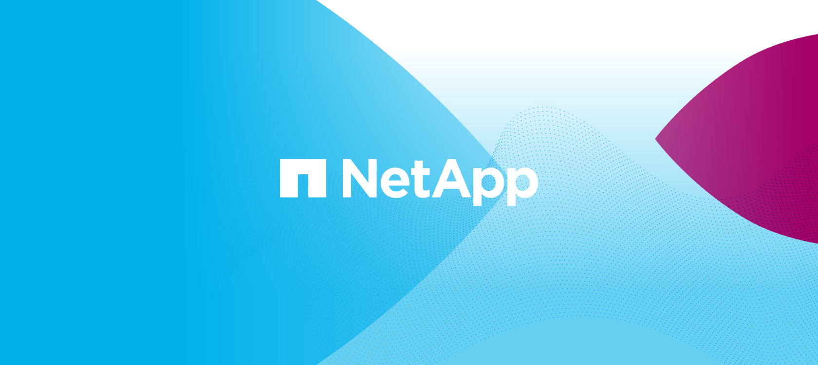 NetApp Logo