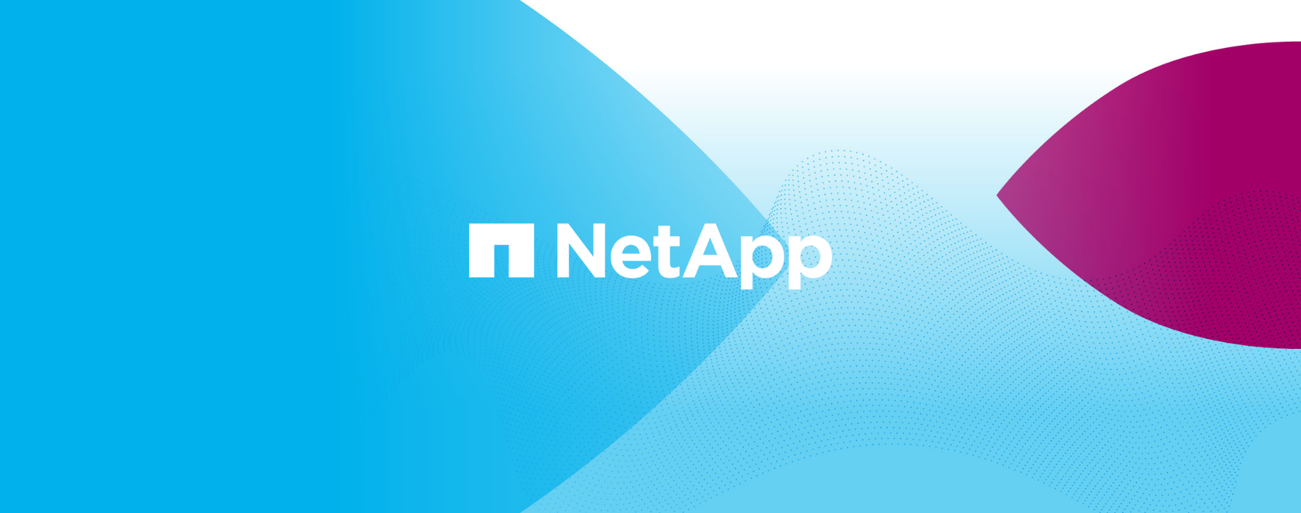NetApp Logo