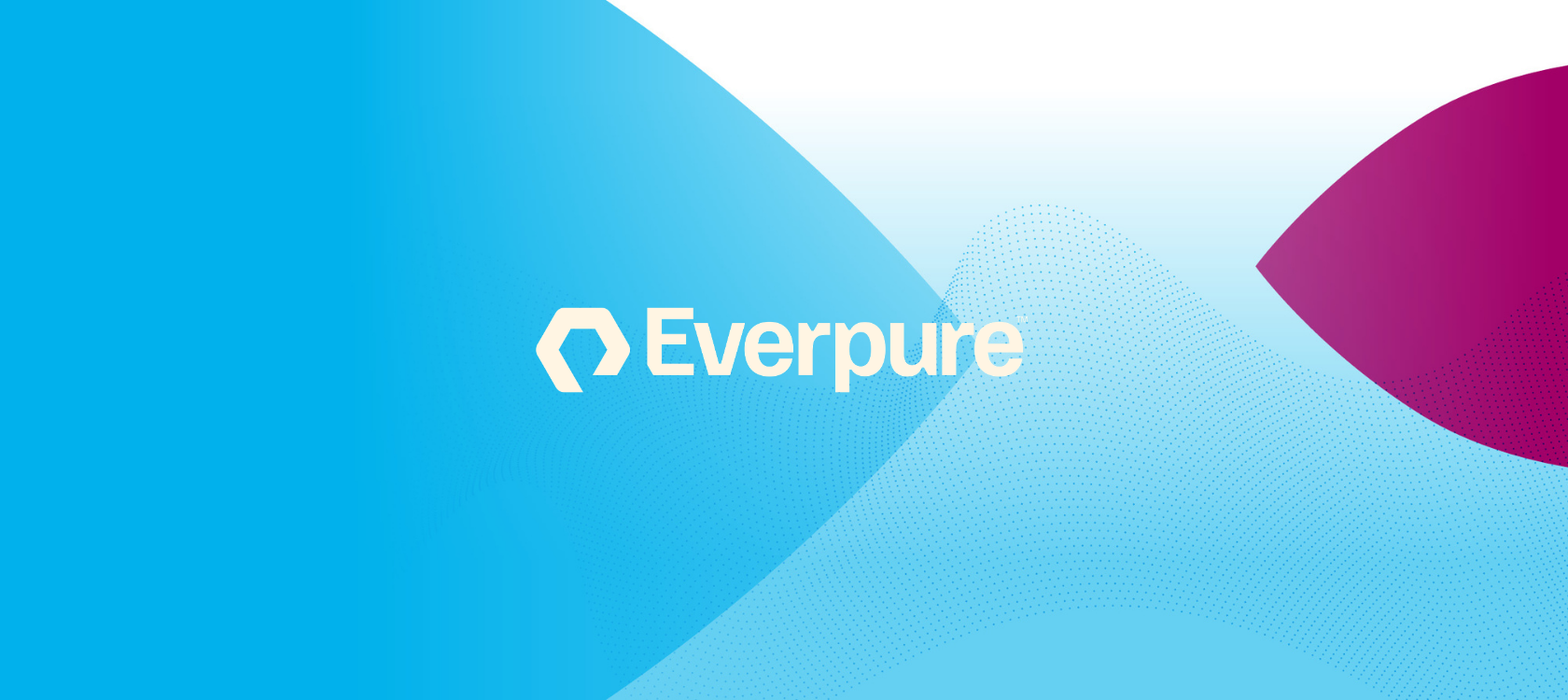 Everpure Logo